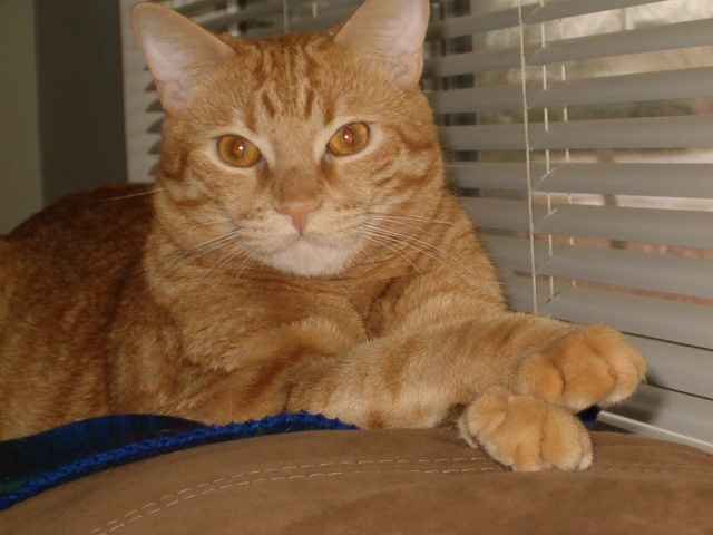 HPIM0728.JPG