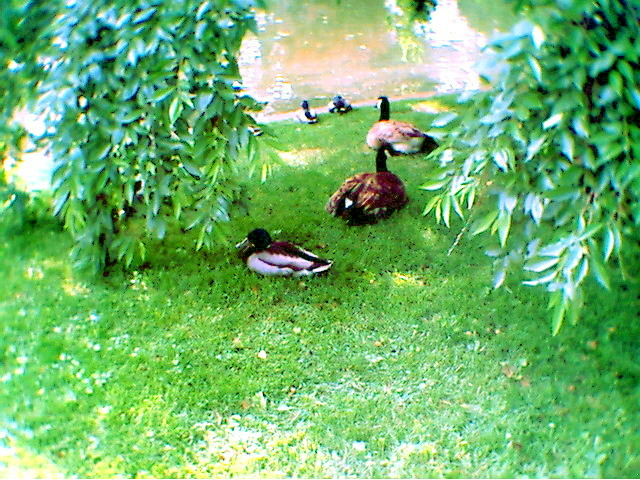 photo10.jpg