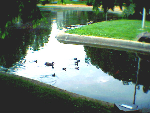 photo18.jpg