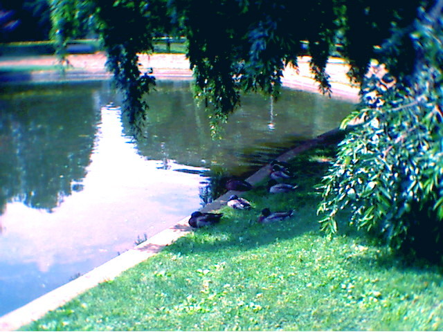 photo11.jpg