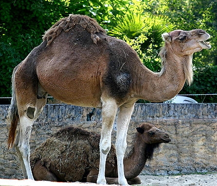 IMG 0396.JPG