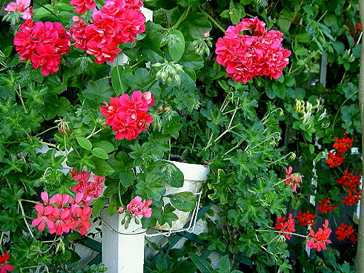 PICT5057.JPG