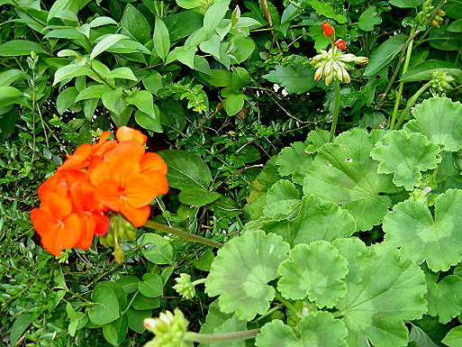 PICT5054.JPG