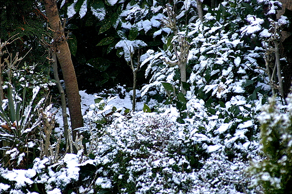 IMG 1206.JPG