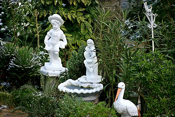 IMG 1204.JPG