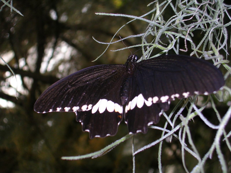 DSCN0343.JPG
