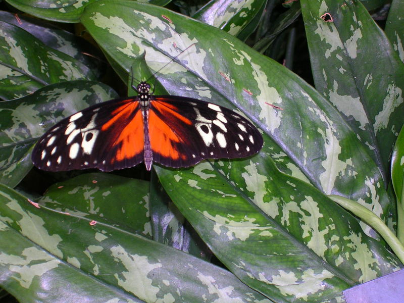 DSCN0345.JPG