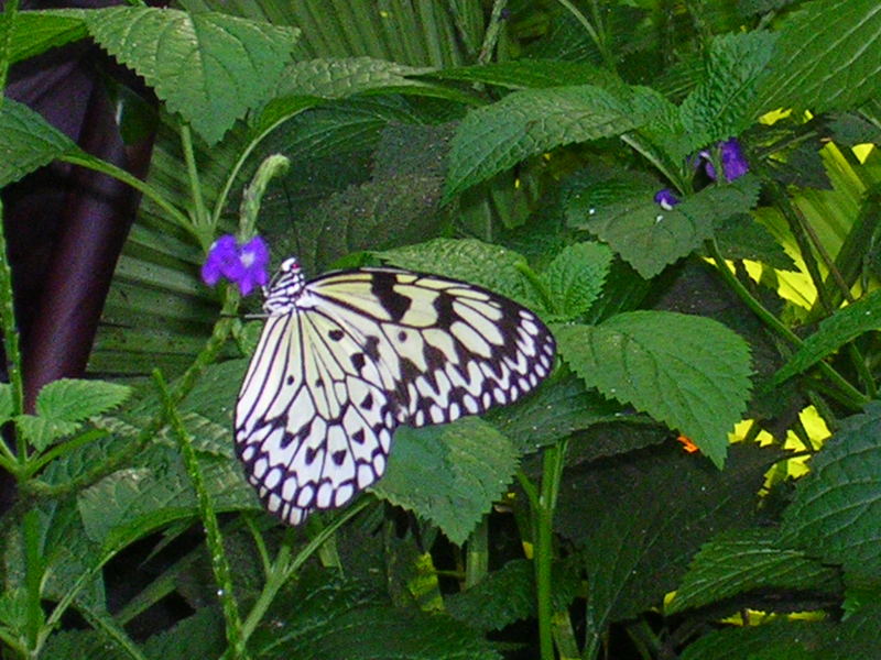 DSCN0346.JPG