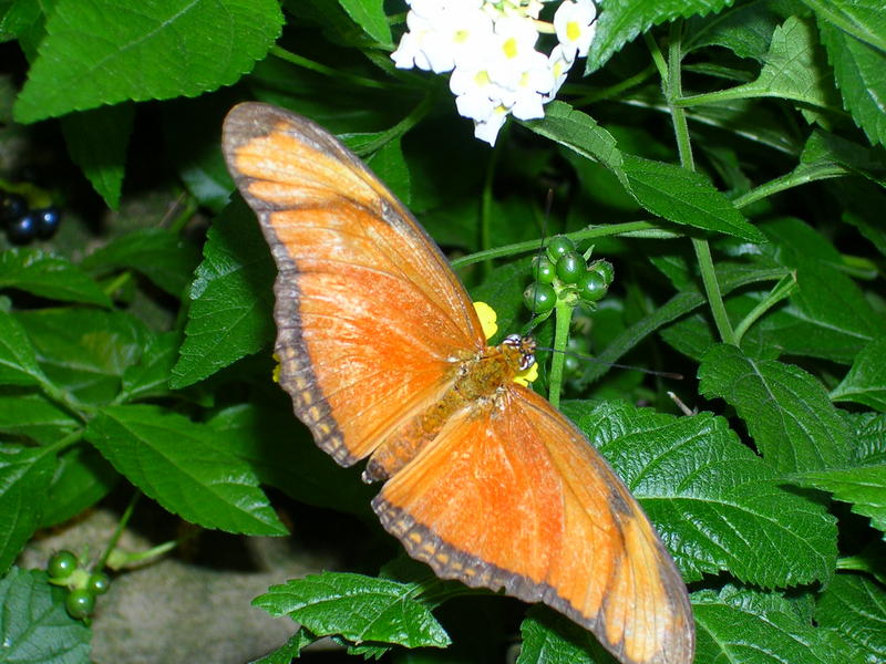 DSCN0348.JPG
