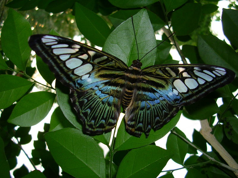 DSCN0361.JPG