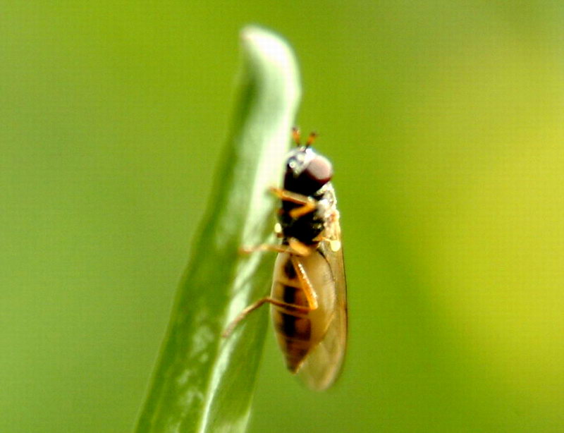 DSCF1859.jpg