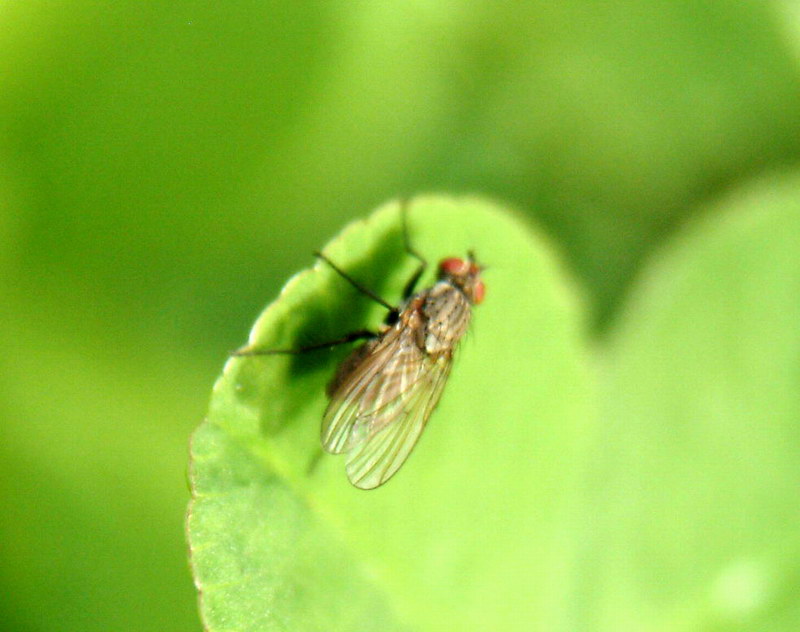 DSCF1923.jpg