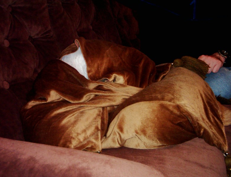 cushion 1.jpg
