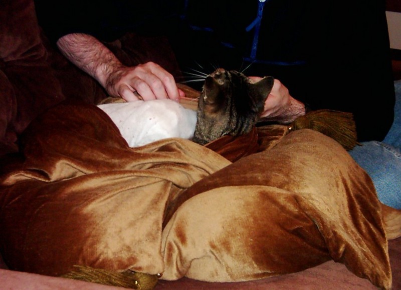 cushion 3.jpg