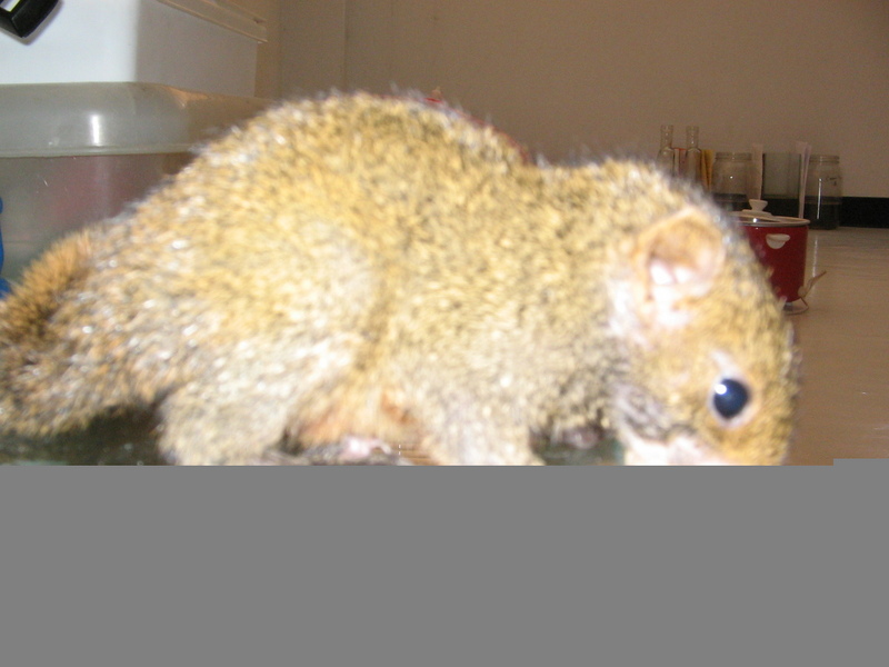 IMG 0331.JPG