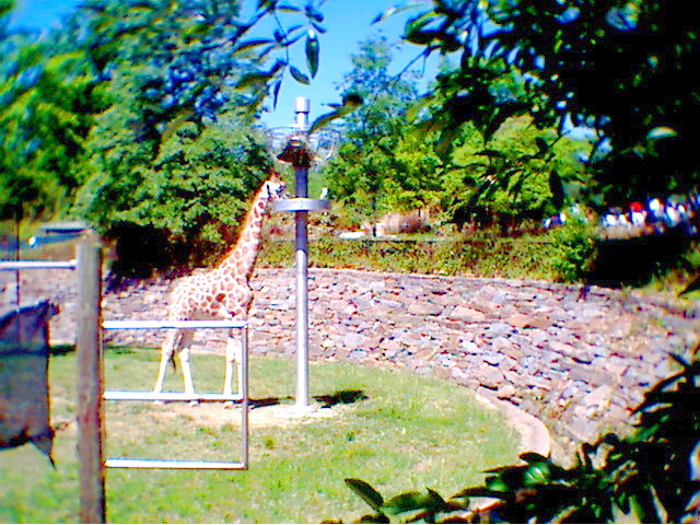 PHOTO2.jpg