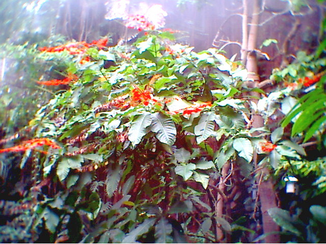 PHOTO8.jpg