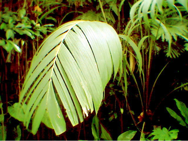 PHOTO9.jpg