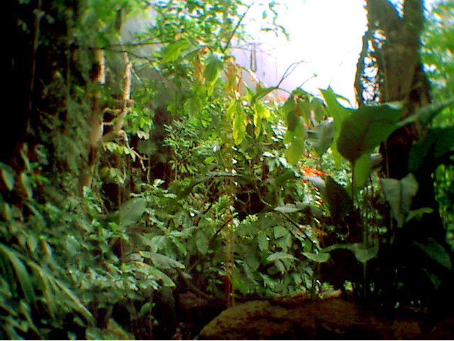 photo10.jpg