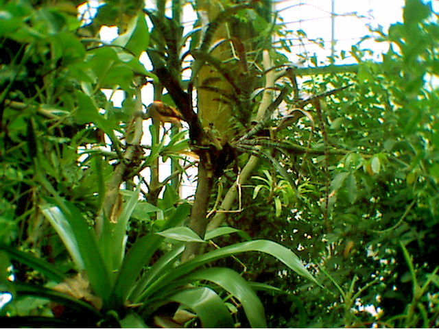 photo11.jpg