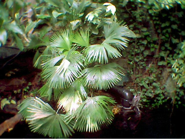 photo13.jpg