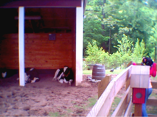 photo16.jpg