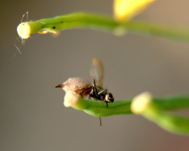 DSCF2925.jpg
