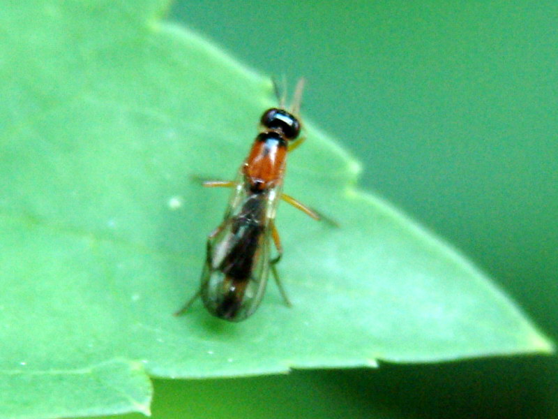 DSCF3605.jpg