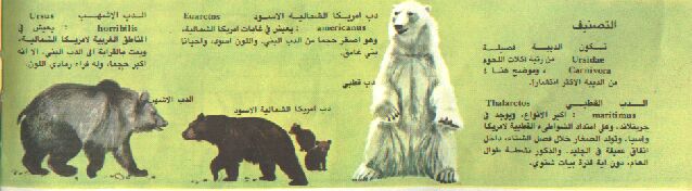 391.jpg