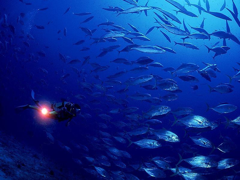 Underwater Heaven.jpg