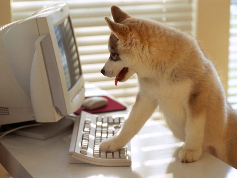 User Friendly.jpg