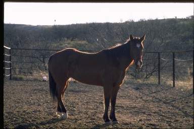 87.jpg