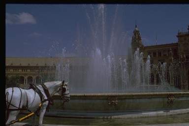92.JPG