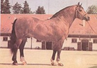 93.jpg