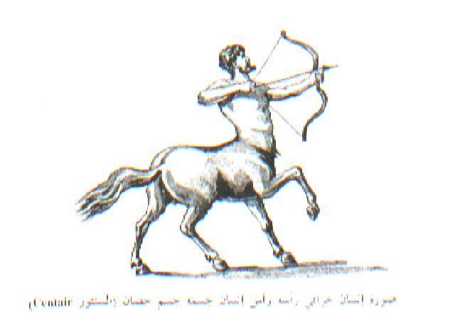 96.jpg