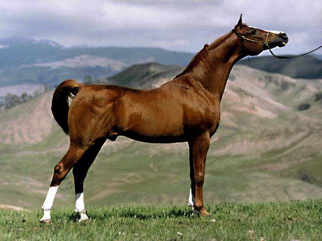 119.jpg