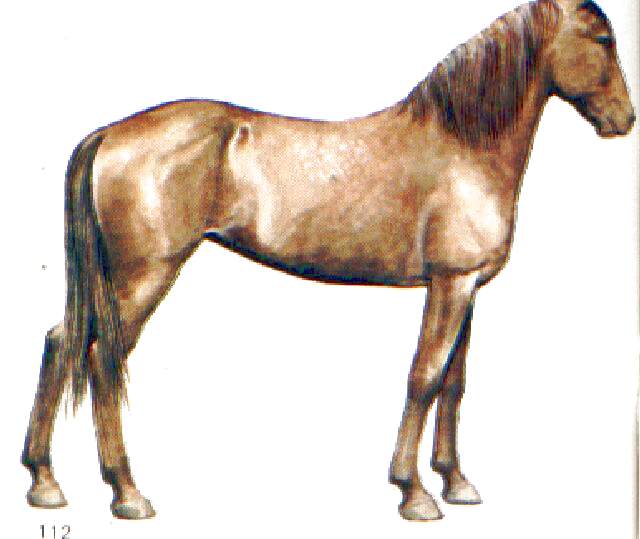 124.jpg