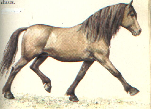131.jpg