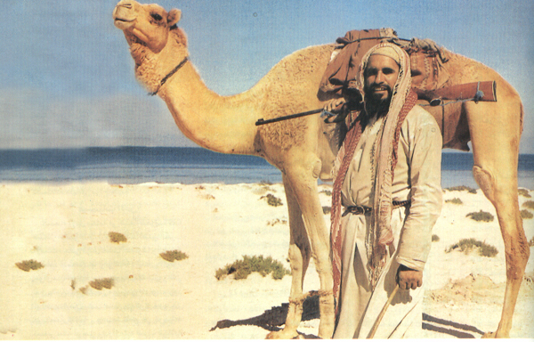 205.jpg