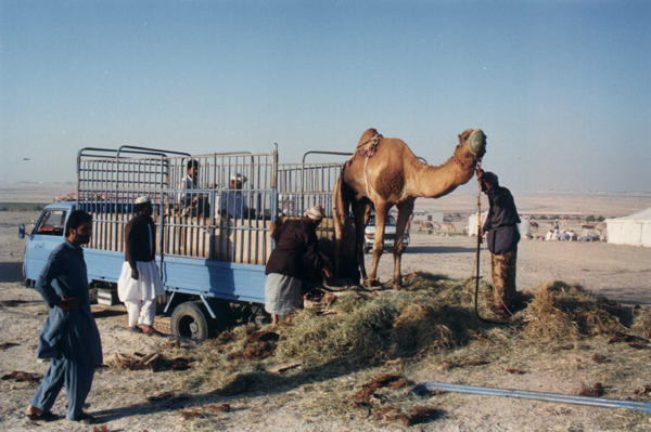206.jpg