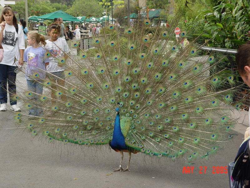 DSC01498.JPG