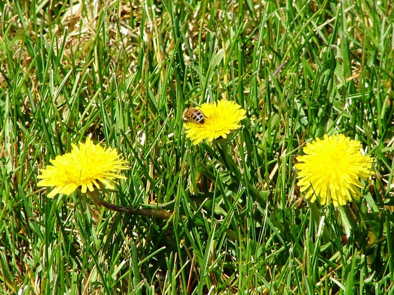 DSCF5607.JPG