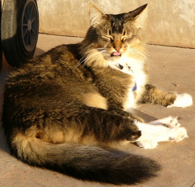 cleo yuck.jpg