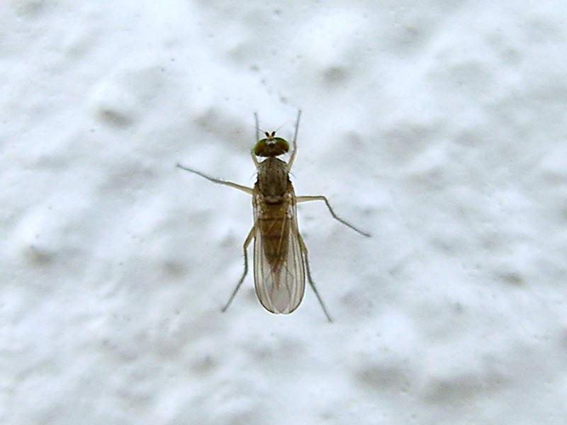 050621 22.JPG