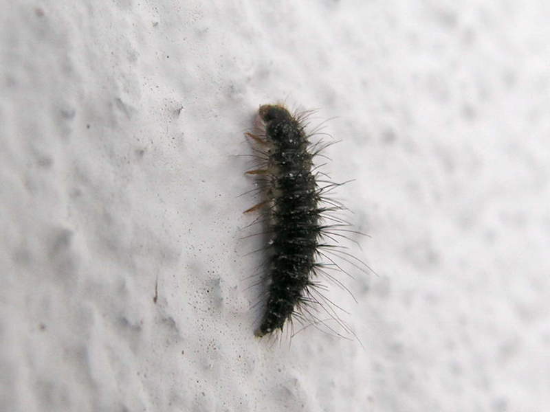 050623 05.JPG