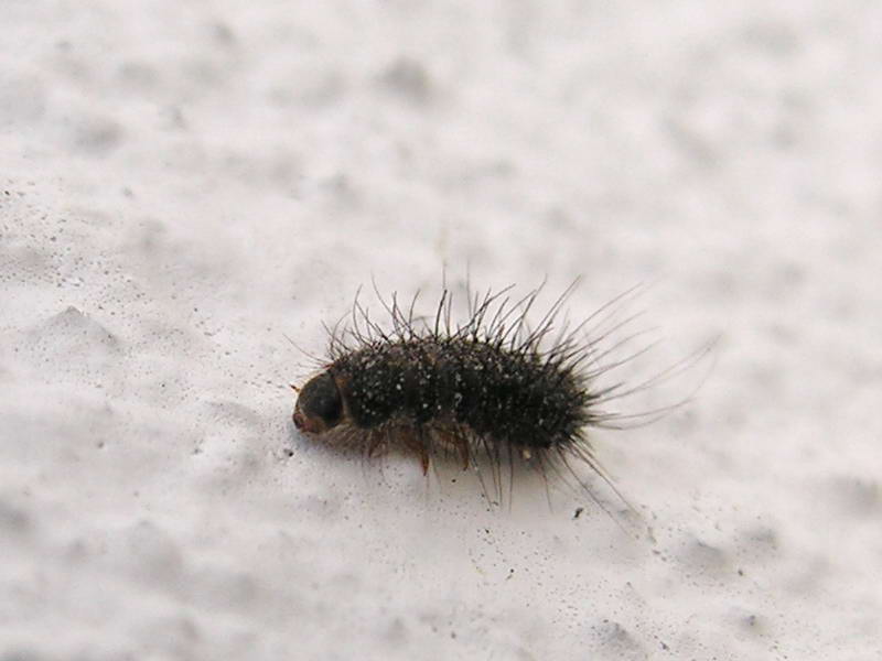 050623 09.JPG