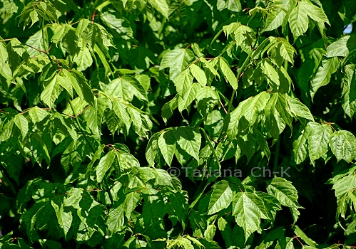 IMG 2826.jpg
