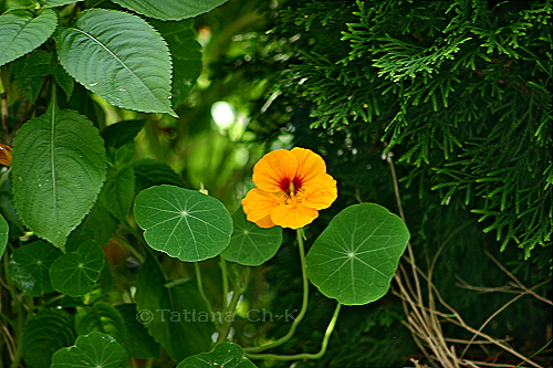 IMG 2567.jpg