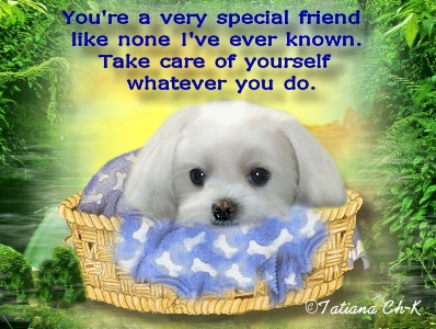 Barbie friendship copyright 1.jpg