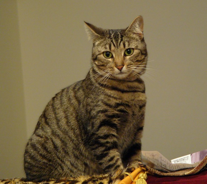 lily mad 1.jpg